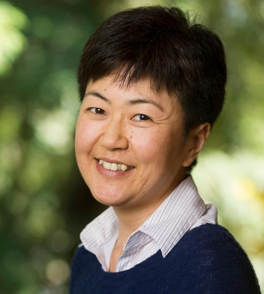 Professor Nobuko Koyama in a collared shirt and sweater