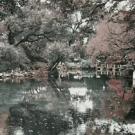 A photo of a pond surrounded by trees.